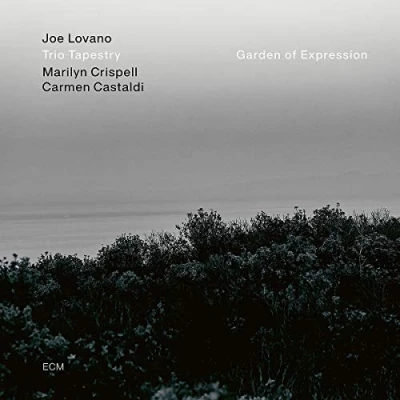 Imagen de Garden of Expression [Vinilo]