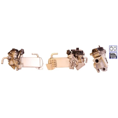 Imagen de DRI 717730130 Válvula EGR eléctrico con juntas, radiator VOLKSWAGEN: Transporter 5, Multivan 5 (7HM, Bus