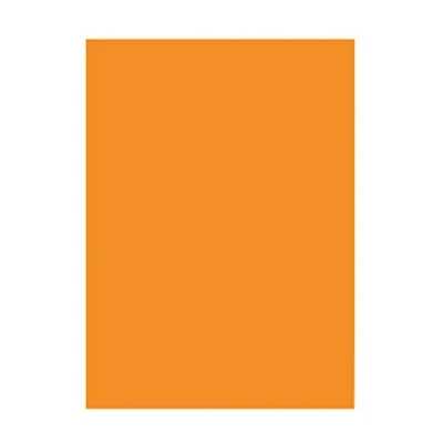 Imagen de Folia Bringmann Papel de Colores (130 g/m², DIN A3, 50 Hojas), Color 17 Ocre