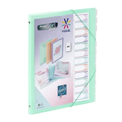 Imagen de Viquel Propysoft Organizador personalizable con 12 compartimentos (tamaño A4, cierre elástico), color verde translúcido