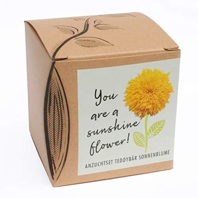 Imagen de Sunshine Flower Juego de cultivo oso peluche (incluye maceta, sustrato e instrucciones)