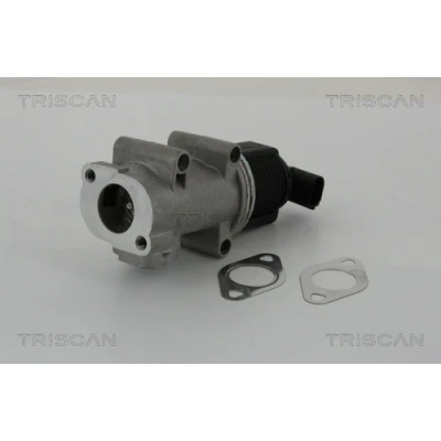 Imagen de TRISCAN 8813 10005 Válvula EGR electrónico con juntas FIAT: Doblo I Familiar, BRAVO 2, Cargo, ALFA ROMEO: 147, 156 Sportwagon, Berlina