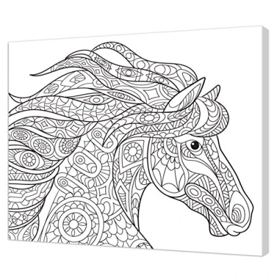 Imagen de Pintcolor 7162.0 Lienzo de algodón Estampado para Colorear con Marco Madera Abeto, 50 x 40 3,5 cm, Color Blanco y Negro