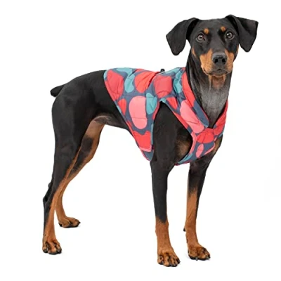 Imagen de Kurgo Loft Chaqueta para Perro, Abrigo Reversible Llevar con arnés o suéter, Resistente al Agua, Reflectante, de Invierno Perros pequeños (lámpara Lava, Talla S)