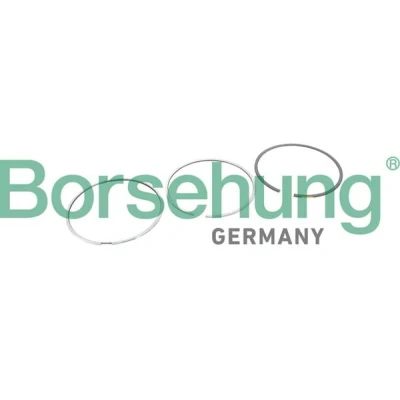 Imagen de Borsehung B10368 Juego de Segmentos Pistón AUDI: A6 C7 Avant, A7 Sportback