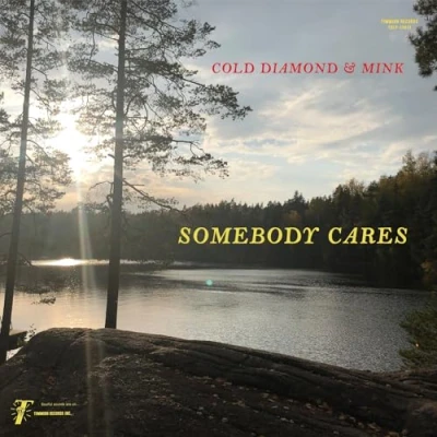 Imagen de Somebody Cares Vinilo Cold Diamond &amp; Mink Jonny Be