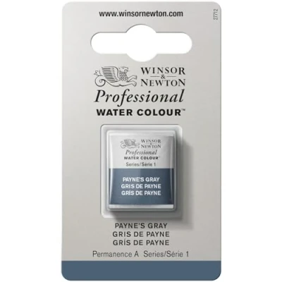 Imagen de Winsor &amp; Newton Acuarela Profesional Pintura De Acuarela, Alta Luminosidad, Resistente a la Luz, Calidad Archivo, 1/2 Godet, Color Gris Payne