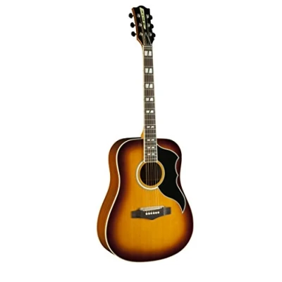 Imagen de EKO Guitars 06217128 Ranger VI Dreadnought., Explosión de miel