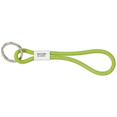 Imagen de Pantone Key Chain Llavero 18 centimeters Verde (Green 15 0343)
