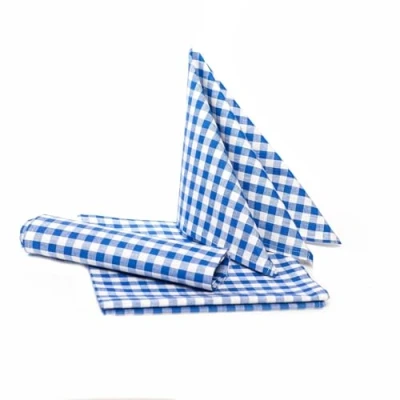 Imagen de texpot Manteles (100% algodón, 80 x cm, cuadros), diseño de cuadros, color azul y blanco