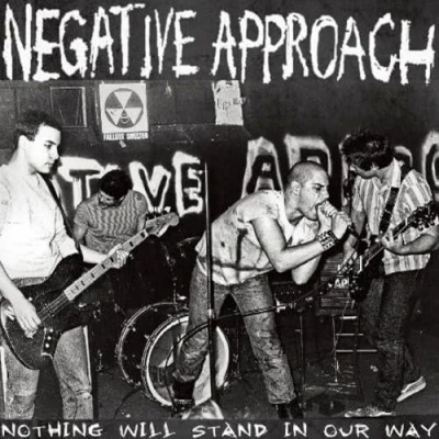 Imagen de Nothing Will Stand In Our Way [Vinilo]