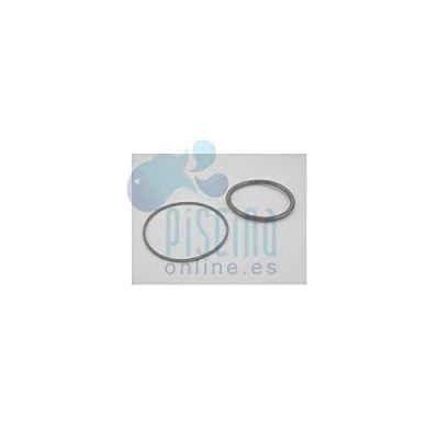 Imagen de Astralpool Junta aro proyector PS