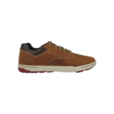 Imagen de Zapatillas Caterpillar Colfax