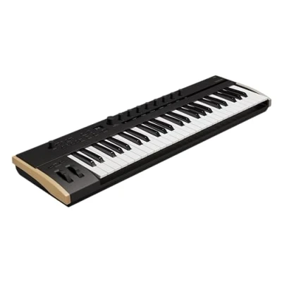 Imagen de Teclado Korg Keystage 49