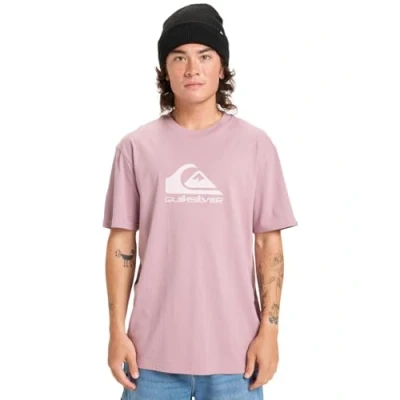Imagen de Quiksilver Ev Comp Logo SS Camiseta para Hombre (Paquete de 1)
