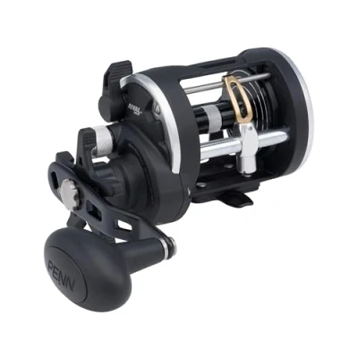 Imagen de PENN Rival™ Carrete de Pesca Nivel Viento, carretes convencionales, para Barco y Kayak, Agua Salada Resistente Bacalao, lubina, Peces Planos, Rayas, Tope,
