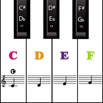 Imagen de MUYOS Pegatinas de piano para teclados 54/61/76/88 [transparentes y extraíbles], juego completo calcomanías teclas blancas negras (colores mezclados)