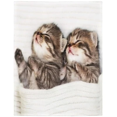 Imagen de YISUMEI manta suave de franela 150 x 200 cm, forro polar, para cama gatitos y gatos