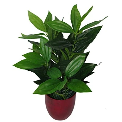 Imagen de Leaf Planta Artificial de Hoja perenne (70 cm), Color Negro