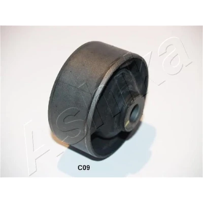 Imagen de brazo oscilante, bujes de ASHIKA GOM C09