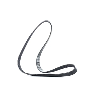 Imagen de DAYCO 6PK1076 Correa trapecial poli V 1076,0 6 SEAT: Ibiza 4 Sportcoupe, 3, 4, CITROËN: Berlingo / First I, Xsara Hatchback