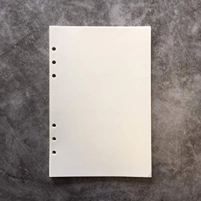 Imagen de Zelten Recambios/Hojas sueltas para carpeta de anillas con tapa A5/Organizador personal/Planificador(A5 6 Holes, Blank 2 Pack)