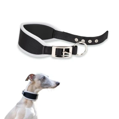 Imagen de Ferplast Collar para Perros ERGOCOMFORT C15/33, Galgos, Acolchado Suave, Azul