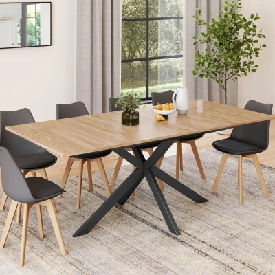 Imagen de IDMarket Alix Mesa de comedor madera extensible, rectangular, con almacenamiento, para 6 a 10 personas, y negro, 160 200 cm