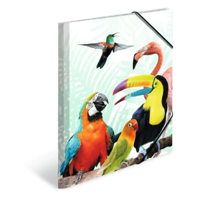 Imagen de HERMA 19968 carpeta de dibujo Animales exóticos con motivo Camarilla tropical, A3, plástico resistente, impresión interior, 1 palmo