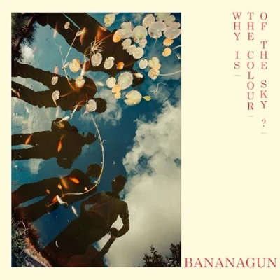Imagen de Why Is the Colour of Sky? (Opaque Red Lp) [Vinilo]