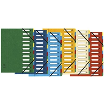 Imagen de Exacompta 5312E 1 carpeta HARMONIKA con gomas y ventanas recortadas tapa de cartulina brillante lomo expandible 12 compartimentos para A4 tamaño 24,5 x 32cm colores aleatorios
