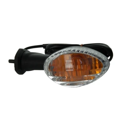 Imagen de VICMA 13838 intermitente Atrás izquierda con luz
