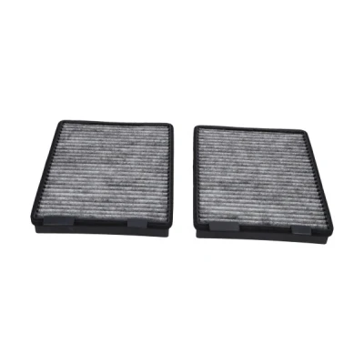 Imagen de KAVO PARTS FCA 10159C Filtro de habitáculo carbón activado 262mm 198mm 32mm BMW: 5 Sedán, Touring