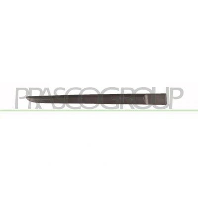 Imagen de PRASCO RN3251453 Molduras Puerta RENAULT: CLIO 3