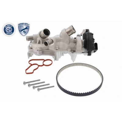 Imagen de VAICO V10 50114 Bomba de Agua + Kit Distribucion con junta, correa dentada tornillos VOLKSWAGEN: Golf 7, 7 Variant, Passat B8 Variant