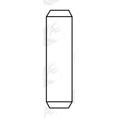 Imagen de AE VAG92221 Guía de válvula 9 Hierro fundido