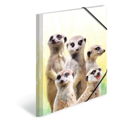 Imagen de HERMA 19971 carpeta de dibujo Animales exóticos con motivo Grupo suricatos, A3, plástico resistente, impresión interior, 1 palmo