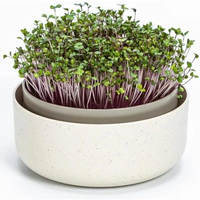 Imagen de Urbalive Cuenco Grande de 16 cm para brotes, Semillas, microgreens Diseño colador plástico Germsprossenbox germinador con Mezcla café