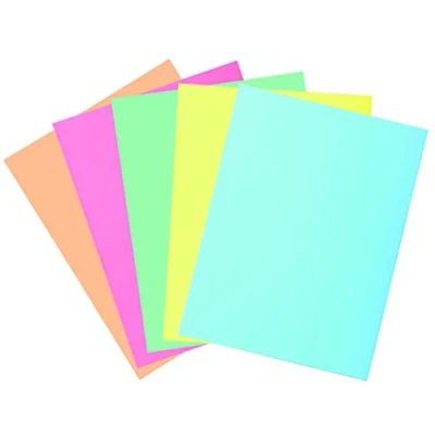 Imagen de Exacompta 332100E Lote de 5 Subcarpetas Super 250 con 2 Solapas, Colores Surtidos