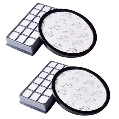 Imagen de Filtro de repuesto Hepa para aspiradora Rowenta X Trem Power Cyclonic ZR006001 (RO69xx)