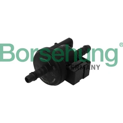 Imagen de Borsehung B16933 Válvula, filtro de carbón activado SEAT: Leon II Hatchback