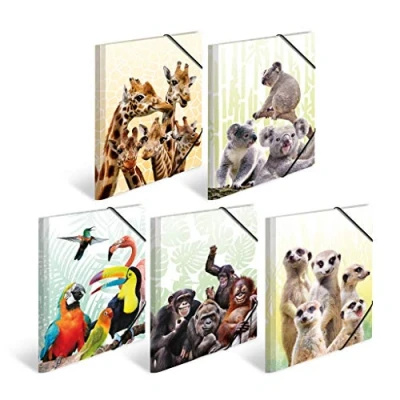 Imagen de HERMA 19965 carpeta de dibujo Animales exóticos, Paquete 10, A3, plástico resistente, con impresión interior, 1 palmo