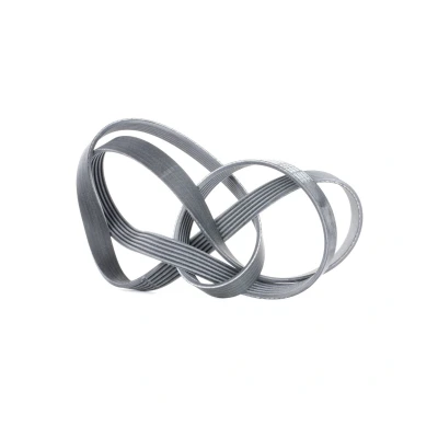 Imagen de CONTITECH 6PK1705 Correa trapecial poli V 1705 6 FORD: Fusion Familiar, FIESTA 5, CITROËN: Berlingo / First I, Xsara Picasso norauto, oscaro,