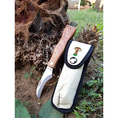 Imagen de cuchillo de setas con cepillo para recoger setas, porches, trufas hoja acero inoxidable funda también niños 10 años