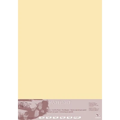 Imagen de Clairefontaine Ref 296023C Hojas para Sobres Pastelmat (paquete de 5 hojas) Tarjeta 360 g/m² 70 x 100 cm Color maíz Especialmente formuladas usar con pasteles