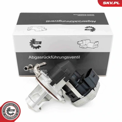 Imagen de Válvula EGR ESEN SKV 14SKV255