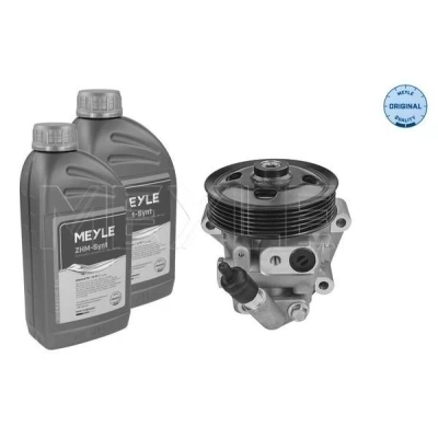 Imagen de MEYLE 714 631 0035/S Bomba de Direccion hidráulico Con cant. aceite para descarga FORD: MONDEO 4, 4 Stufenheck