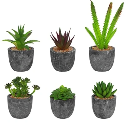 Imagen de BELLE VOUS Mini Suculentas Plantas Artificiales Decorativas en Maceta Gris (Pack de 6) Planta Artificial Cactus y Macetas para Uso el Hogar, Oficina, Mesa Baño