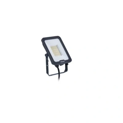 Imagen de Philips Ledinaire Foco LED 3/4/6500K 30W 3600lm 110Deg IP65