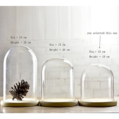 Imagen de Campanas de cristal con forma cúpula bandejas madera diámetro 15 cm, vidrio, transparente, Small